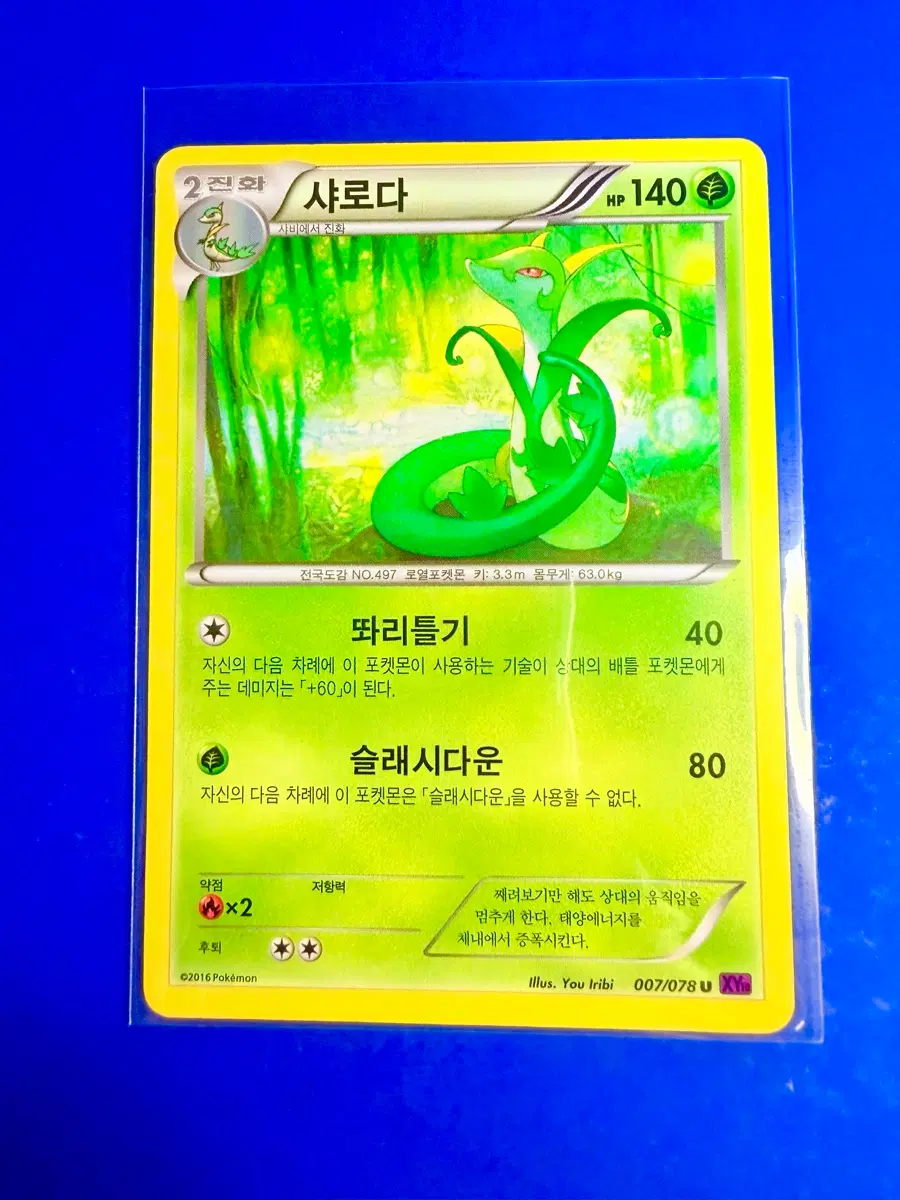포켓몬카드 2016년 고대카드 XY10 샤로다 카드