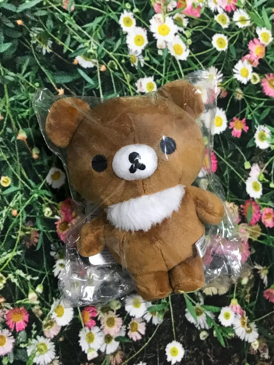 산엑스 코구마 차이로이코구마 포켓 키링 인형