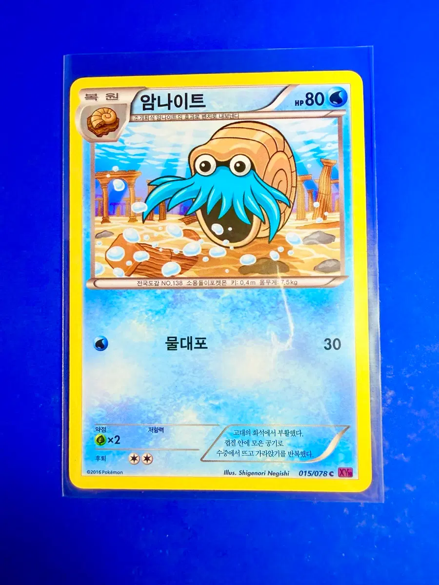 포켓몬카드 2016년 고대카드 XY10 암나이트 카드