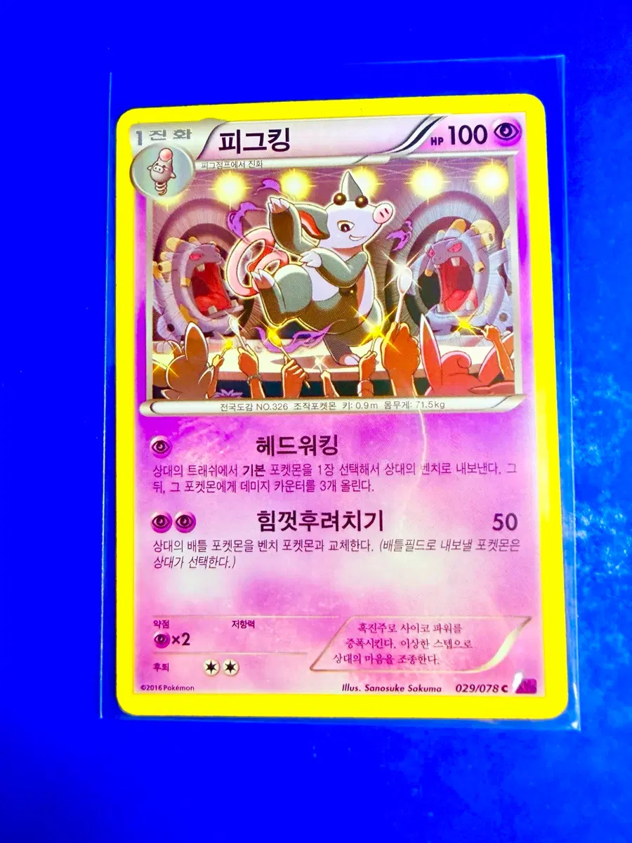 포켓몬카드 2016년 고대카드 XY10 피그킹 폭음룡 카드