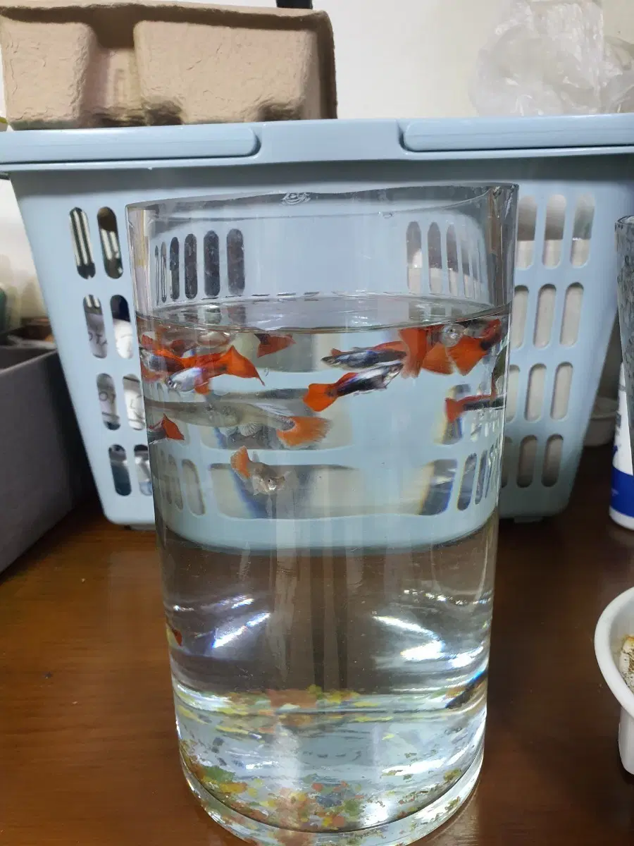 나눔합니다