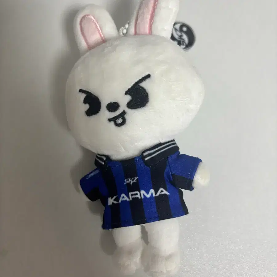스키주 카르마 리빗