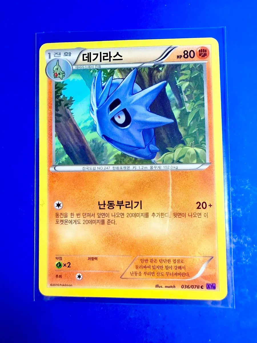포켓몬카드 2016년 고대카드 XY10 데기라스 카드