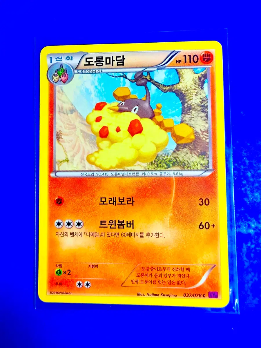 포켓몬카드 2016년 고대카드 XY10 도롱마담 카드
