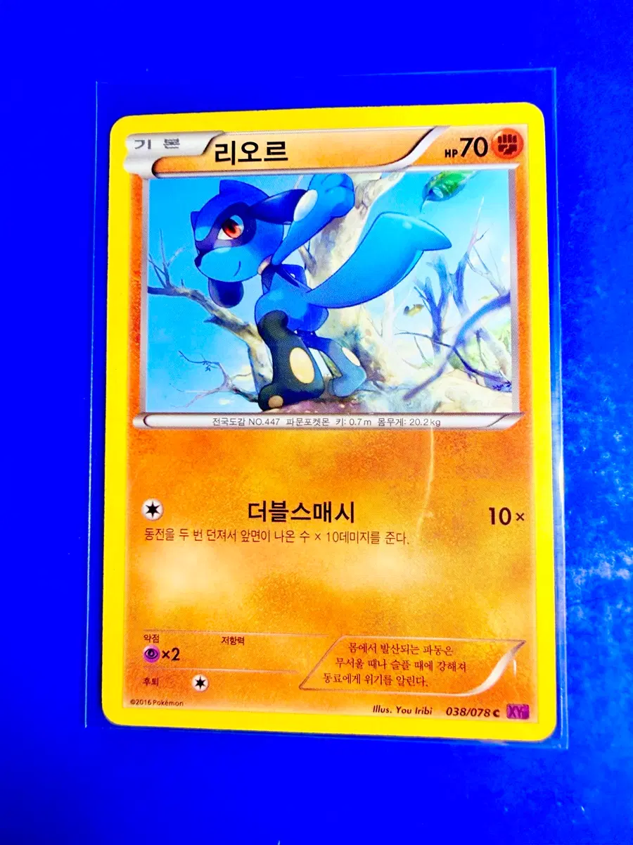 포켓몬카드 2016년 고대카드 XY10 리오르 카드