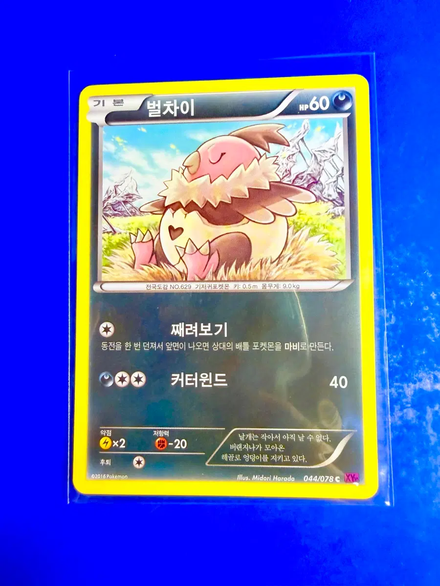 포켓몬카드 2016년 고대카드 XY10 벌차이 카드