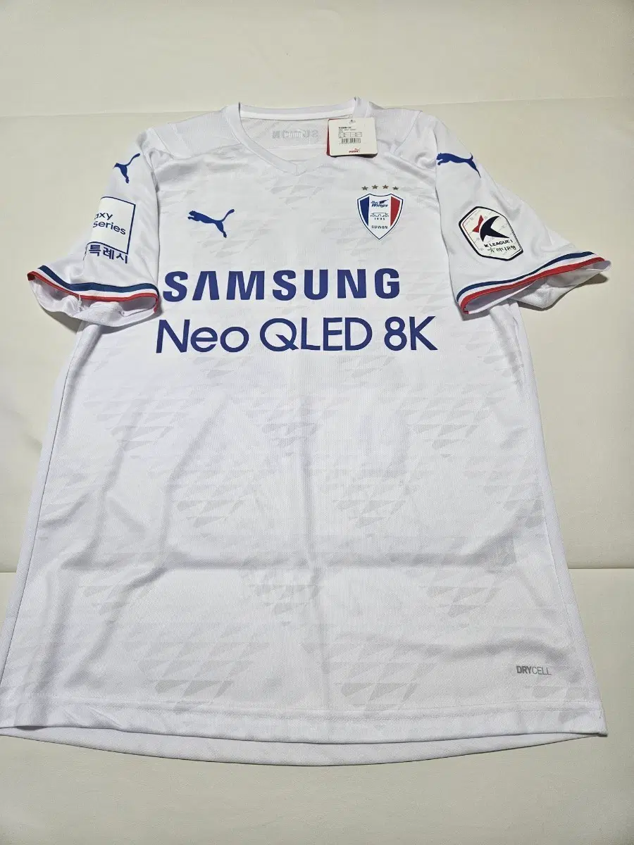 2022년 수원삼성 블루윙스 원정 안병준