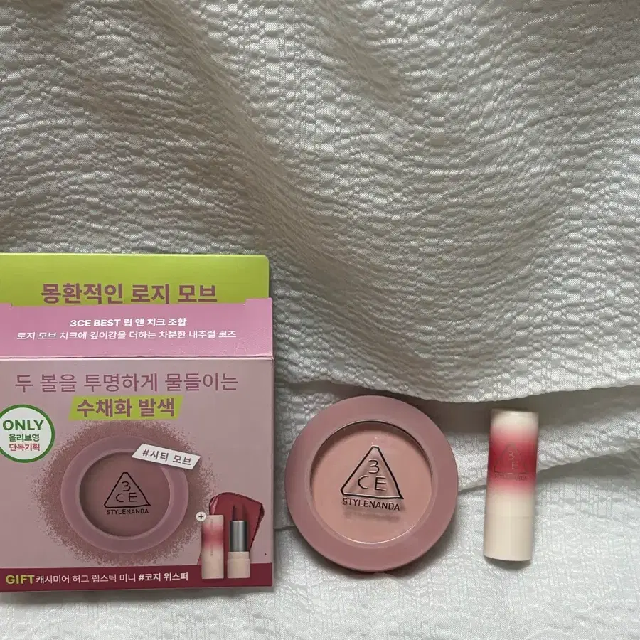 3CE 스타일난다 립앤치크 수채화 발색 #시티모브