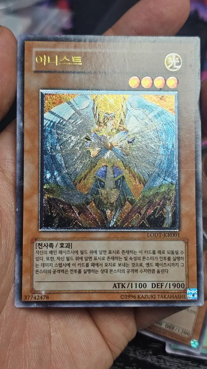 유희왕 어니스트 카드 얼티
