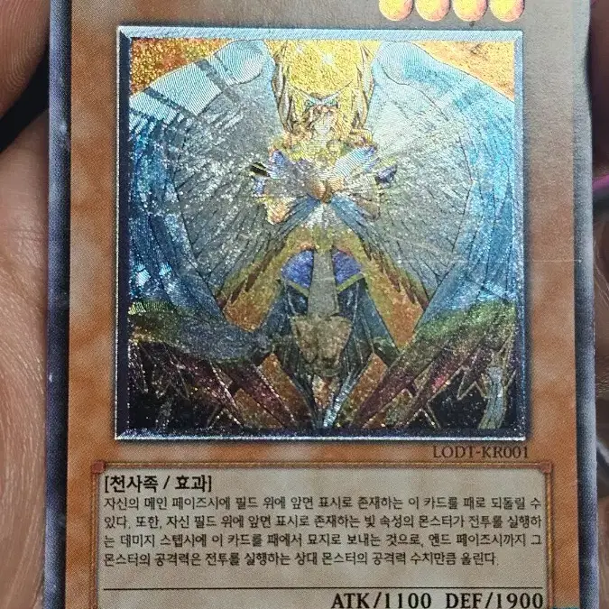 유희왕 어니스트 카드 얼티