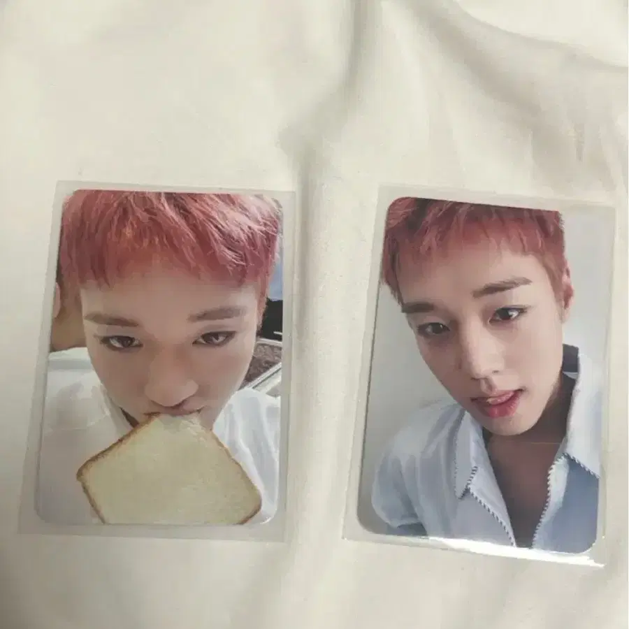 박지훈 리플렉트 뮤앤드 특전 식빵