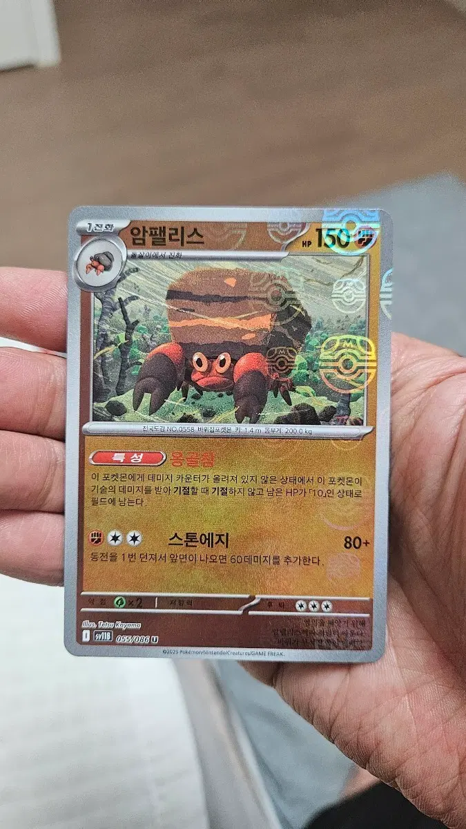 포켓몬카드 암팰리스 마스터볼 카드 팝니다
