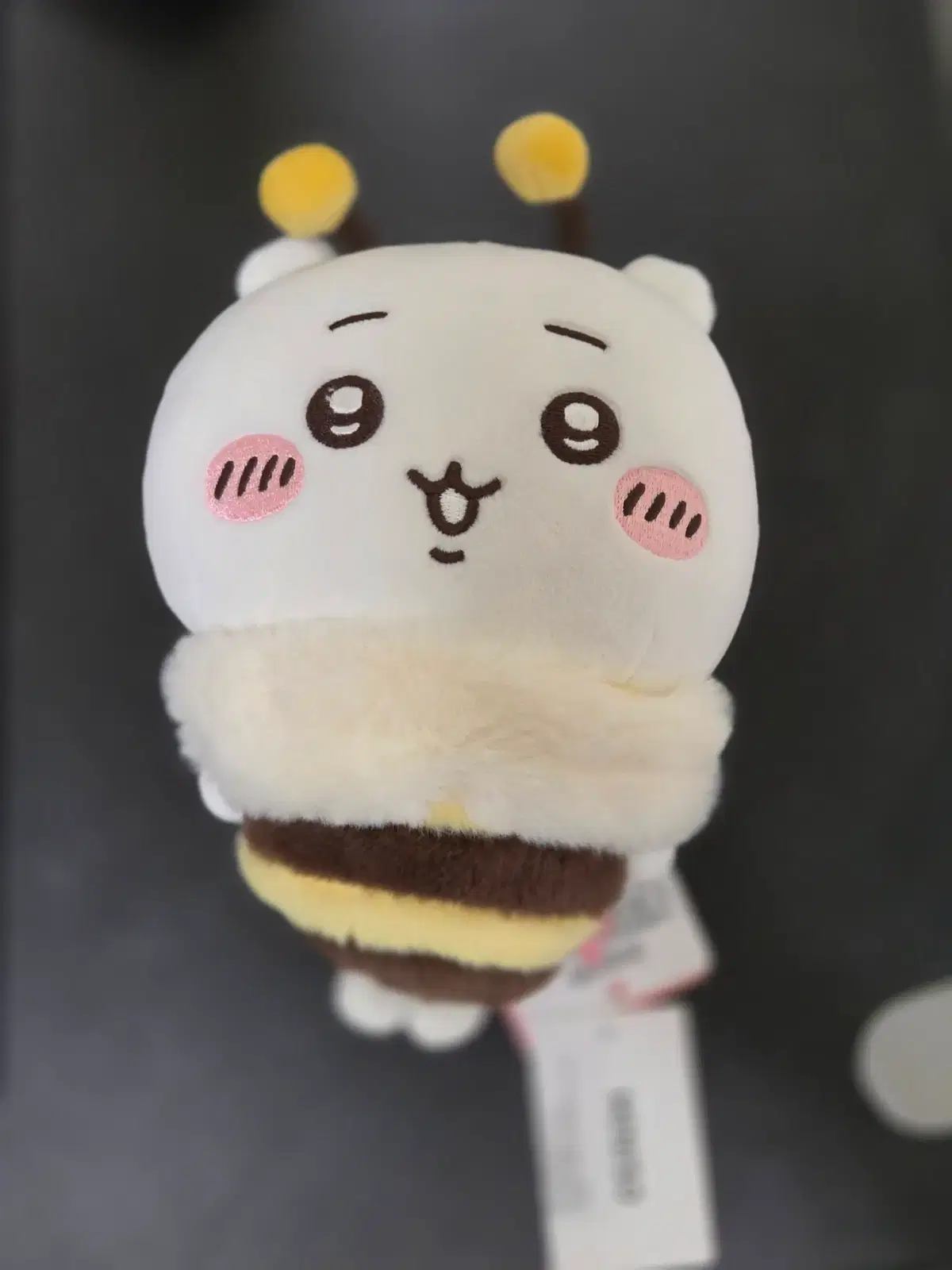 미니소 치이카와 꿀벌 누이