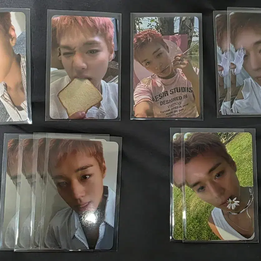 Park Jihoon Reflect beatroad album wts (pochacco ver) | Bunjang Global