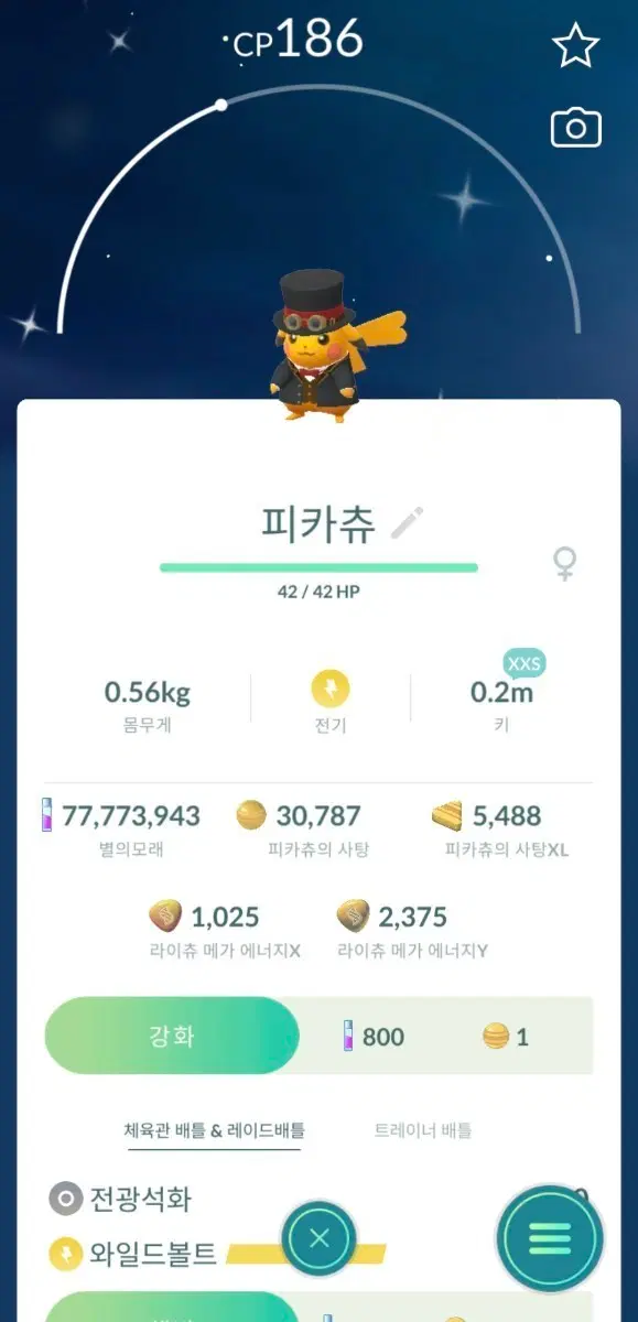 XXS XXL 코스튬 이로치 피카츄