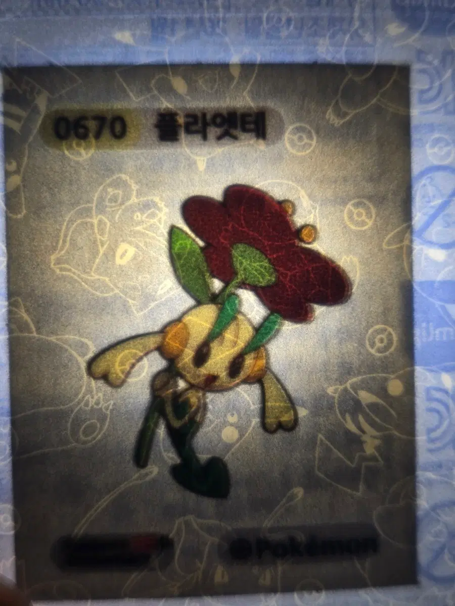 포켓몬 카드 플라베베 0670 플라엣테 띠부씰