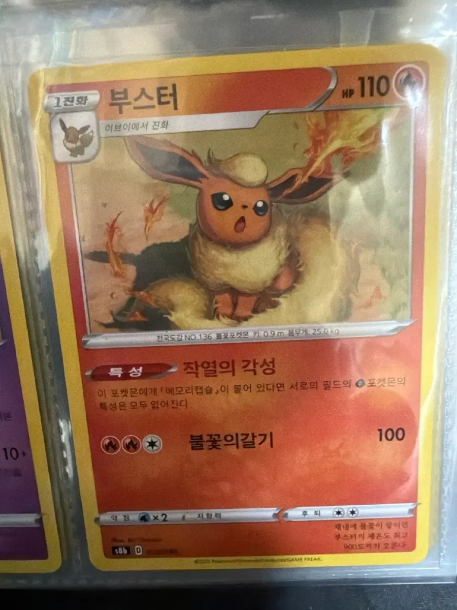 포켓몬카드