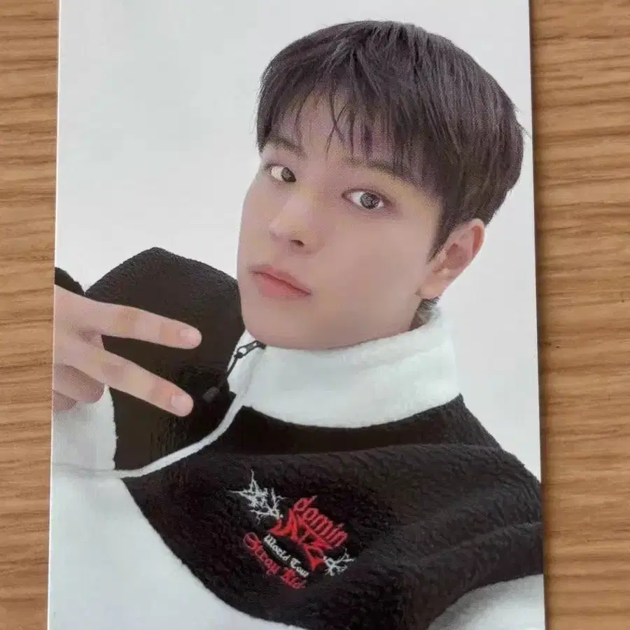 예판 스트레이키즈 일본 포카