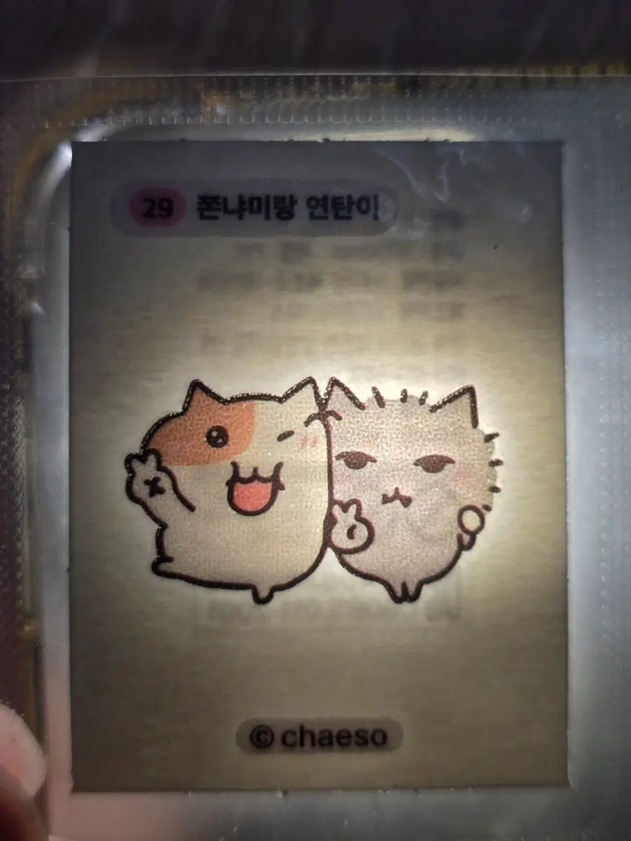 차에소 쫀냐미랑 연탄이 스티커 띠부씰