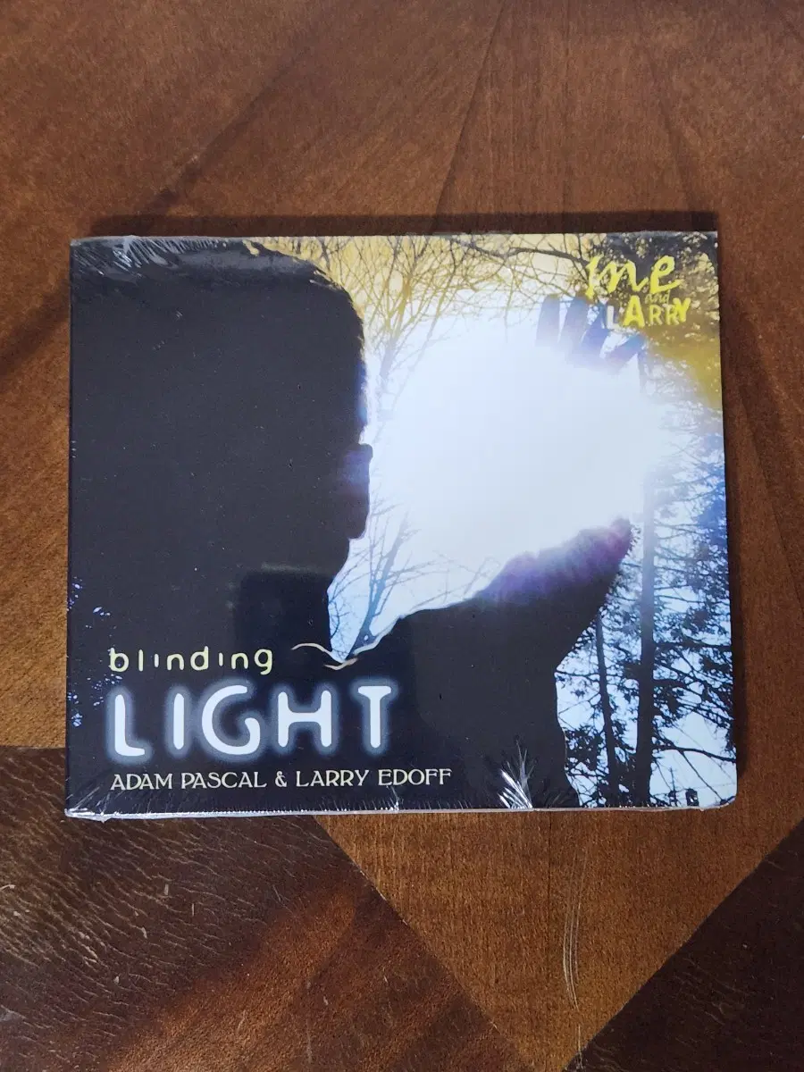 아담파스칼 Blinding Light 앨범(2008)