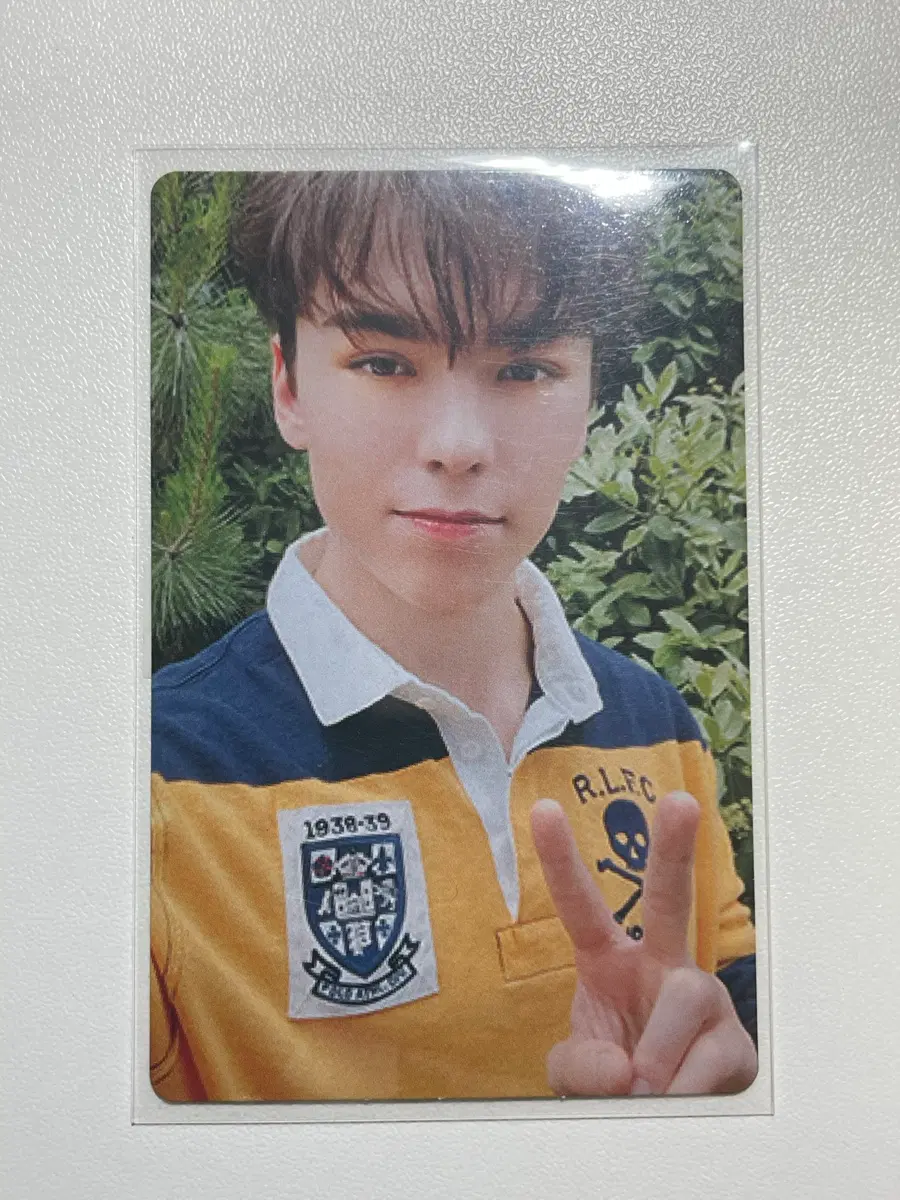 세븐틴 버논 언오드 포카