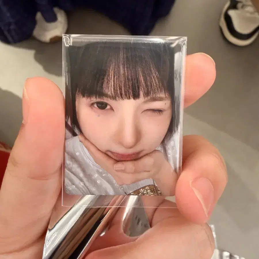 예판 엔믹스 상하이 팝업 포카