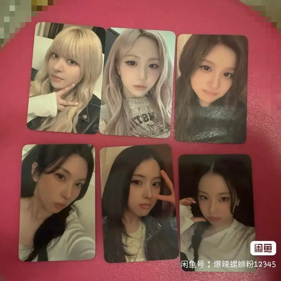 예판 엔믹스 팝업 포카 일괄