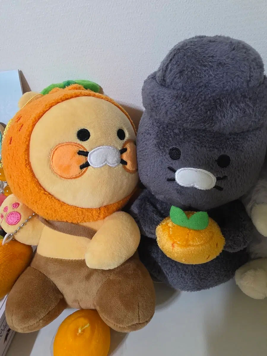 제주도 카카오인형(춘식이감귤인형,돌하르방춘식이)