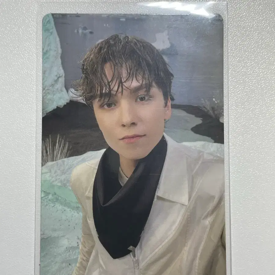 세븐틴 버논 섹터 포카
