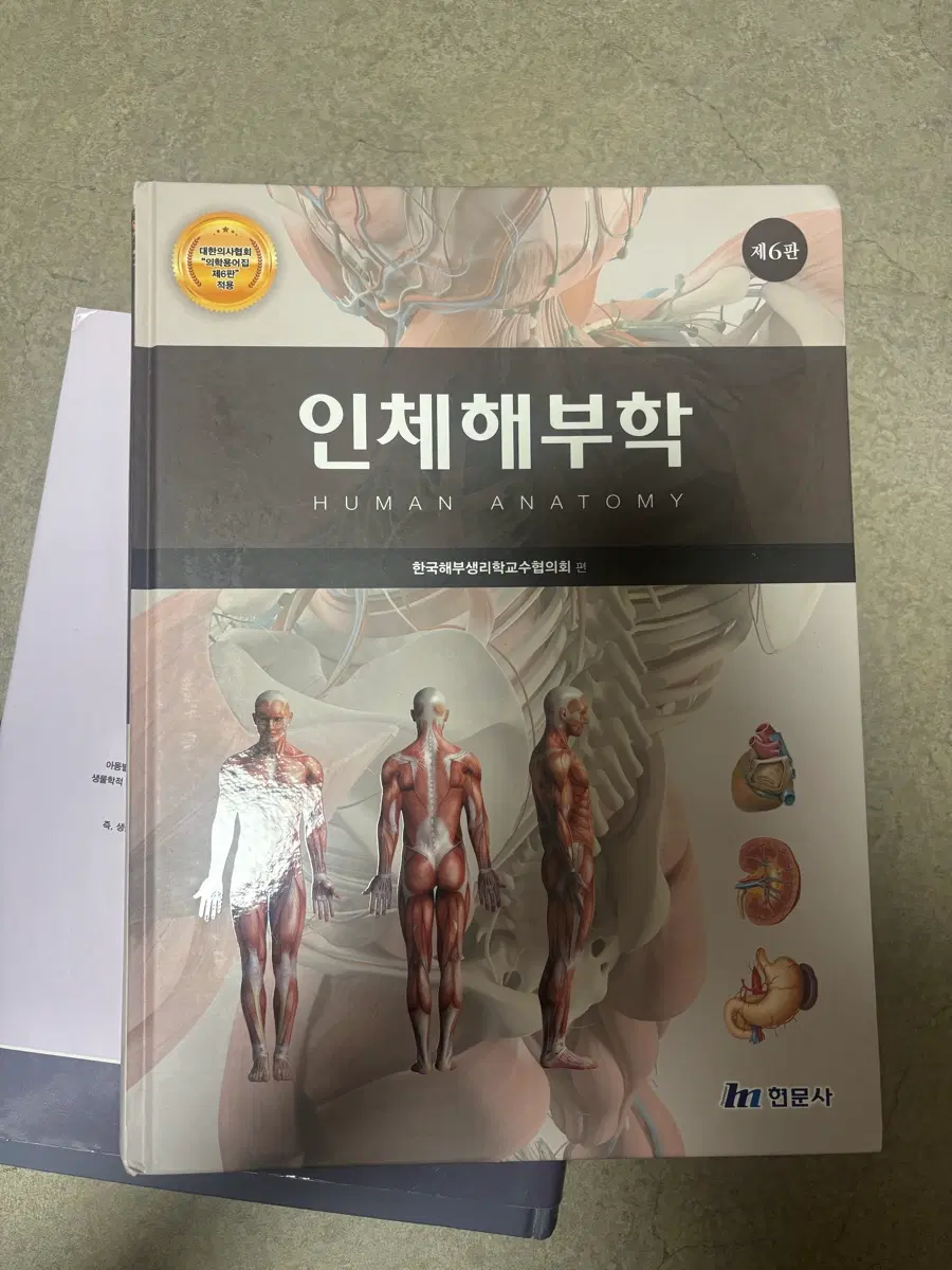 인체해부학, 아동발달의 이해, 작업치려학개론