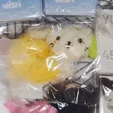 룐룐 스크런치 엔시티 위시 위시돌 NCT WISH 스크런쳐 스크런처