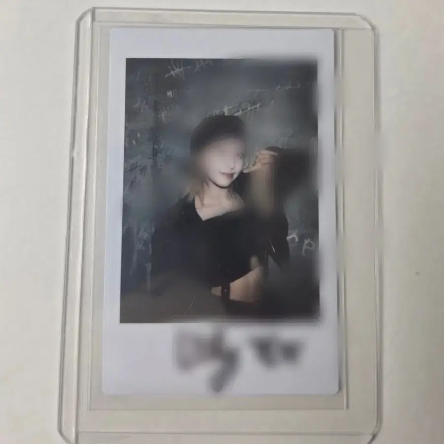릴리 싸인 폴라