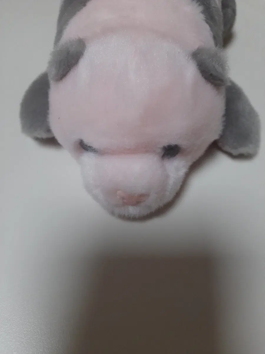 애버랜드 판다 인형
