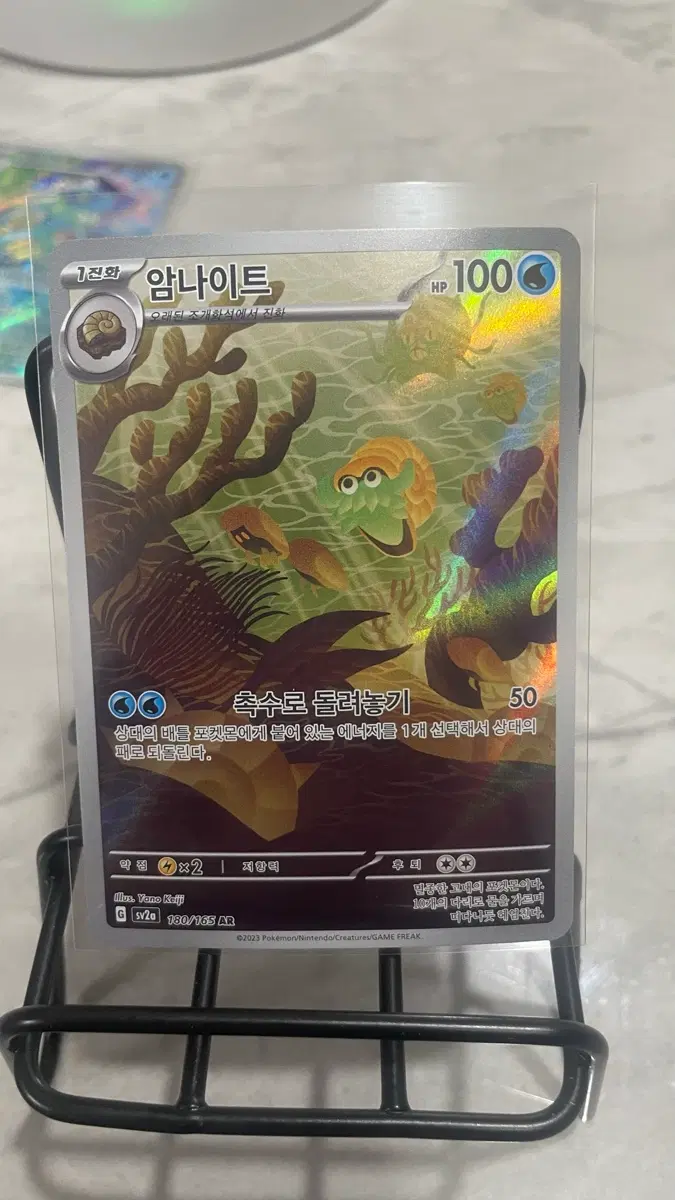 포켓몬카드 암나이트 AR