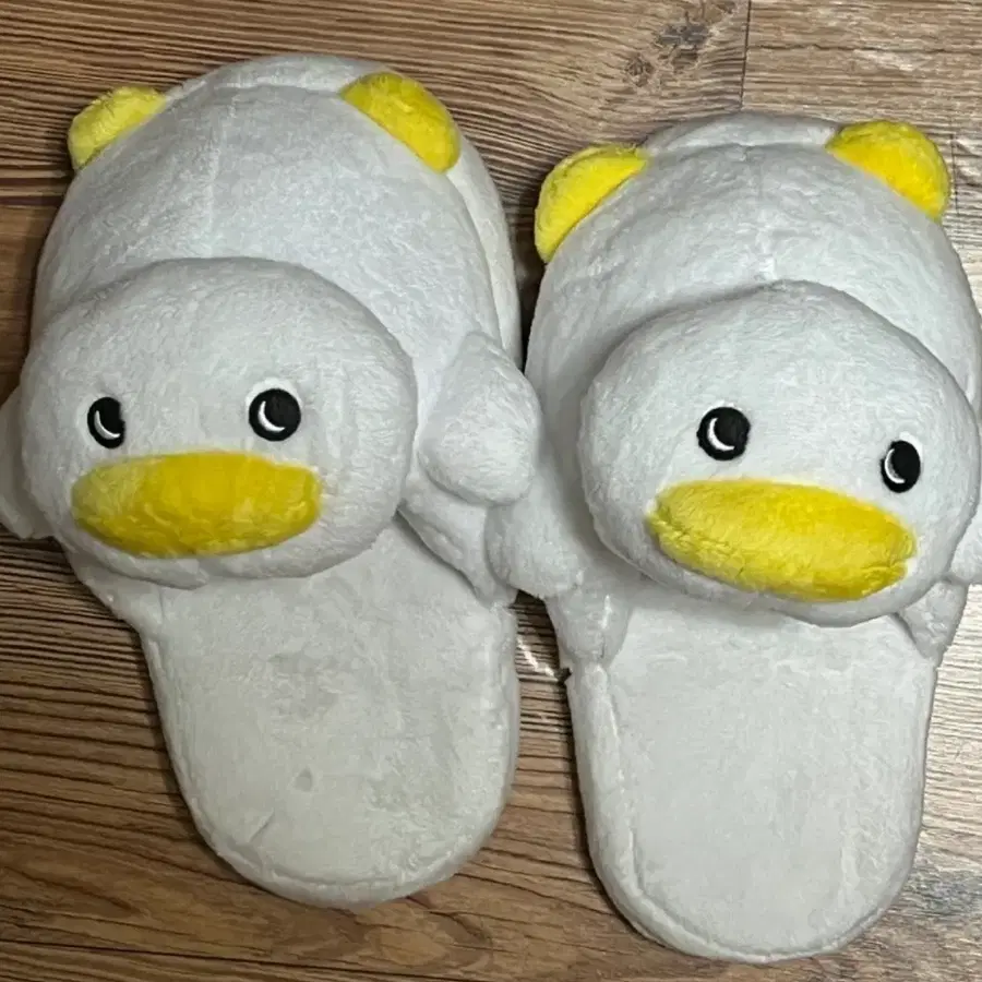 곽철이 슬리퍼