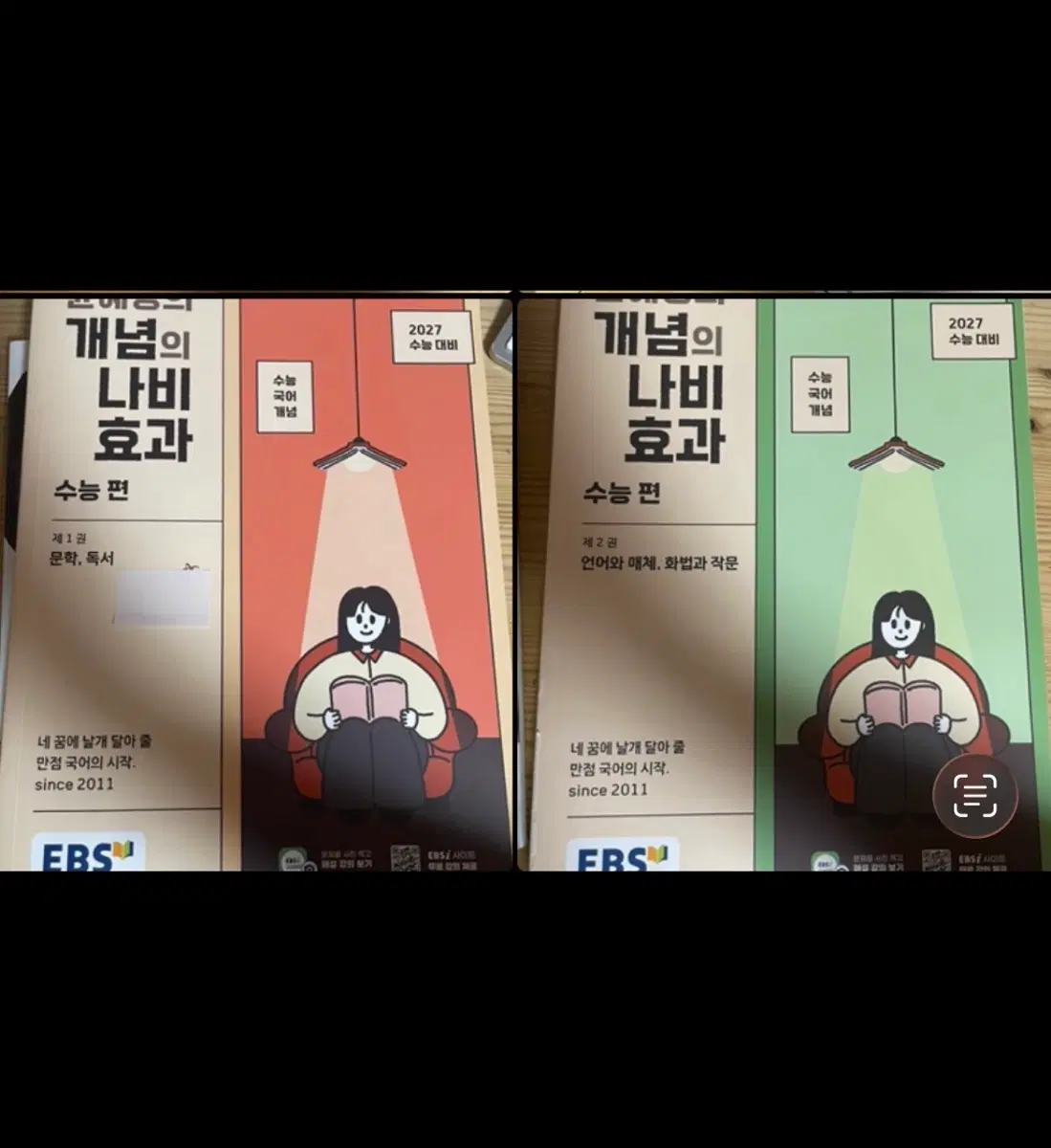 윤혜정 개념의 나비효과 수능편 문학 독서 2027 수능 대비