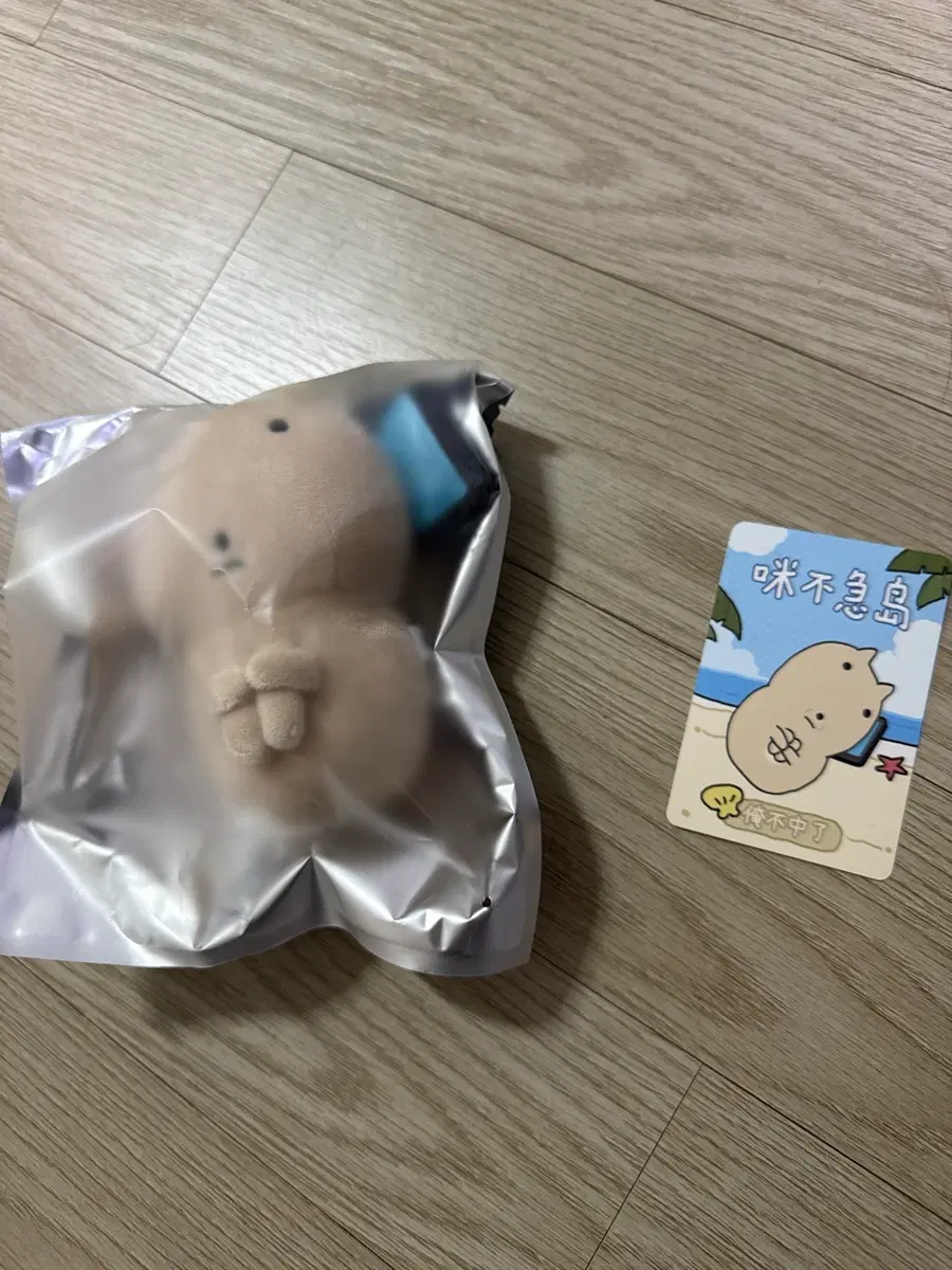 빈티지고양이 누가사 (머시깽이)인형팝니다