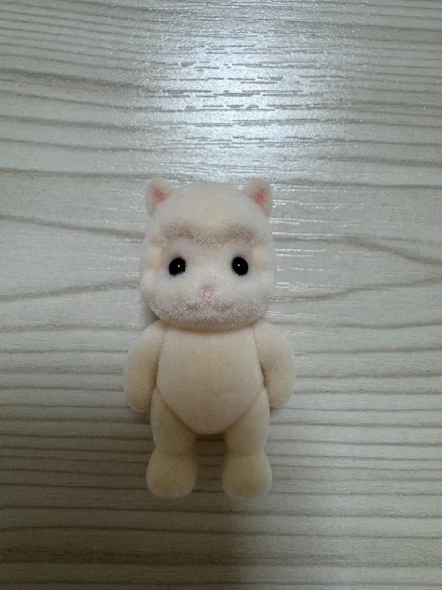 실바니안 알파카 직립