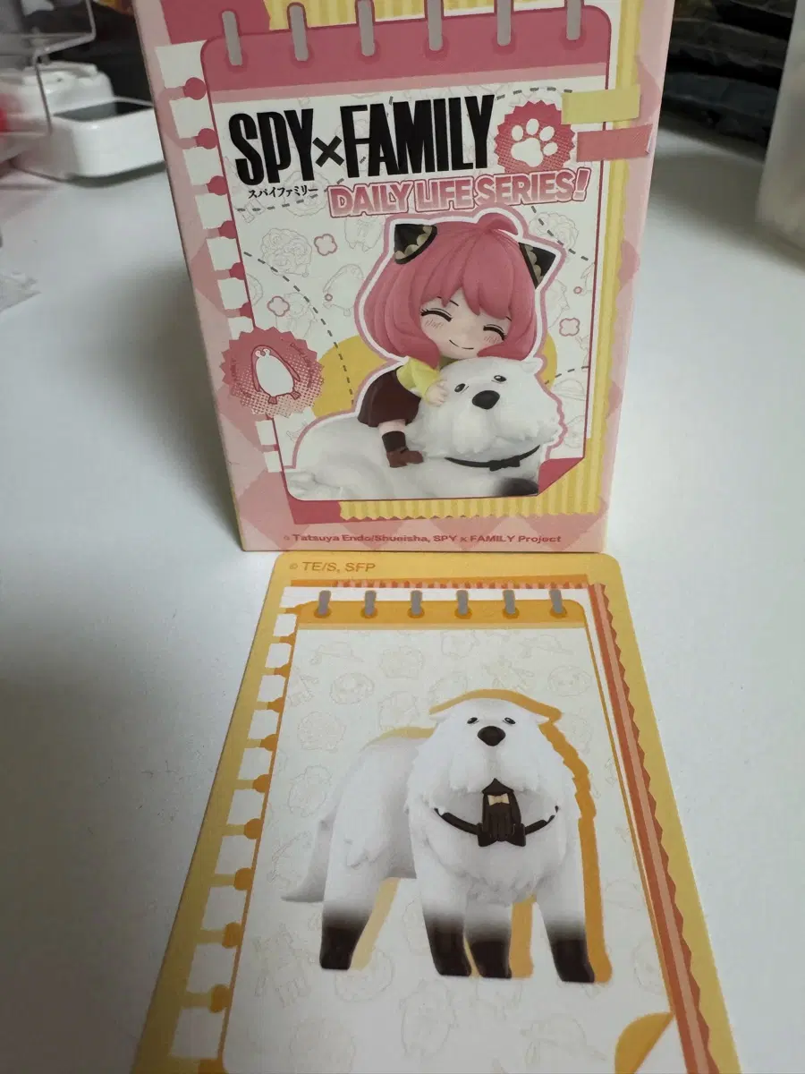 팝마트 스파이패밀리 본드