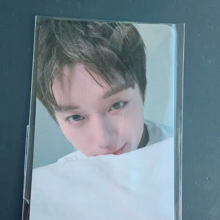 박지훈 포맨트 이불포카