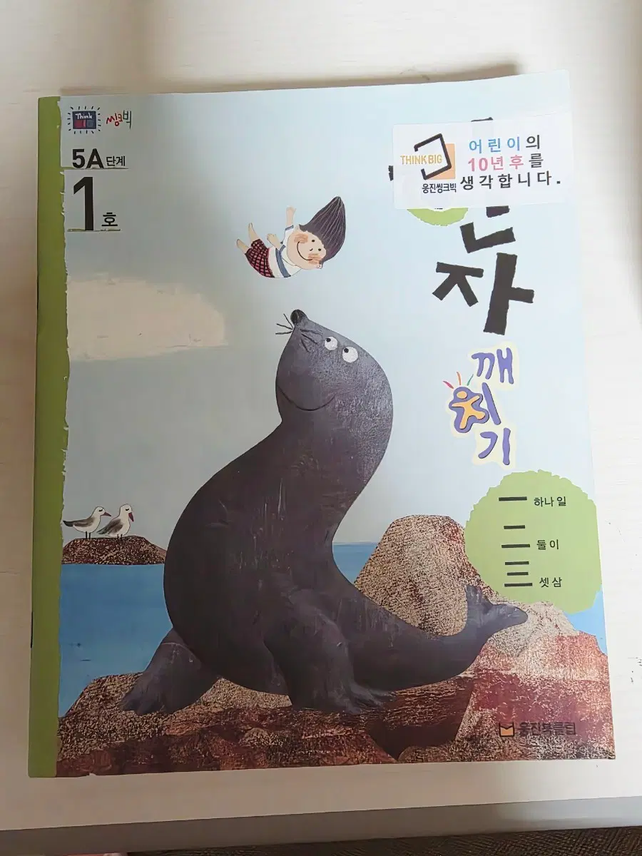 웅진씽크빅 한자깨치기 5A단계 13권