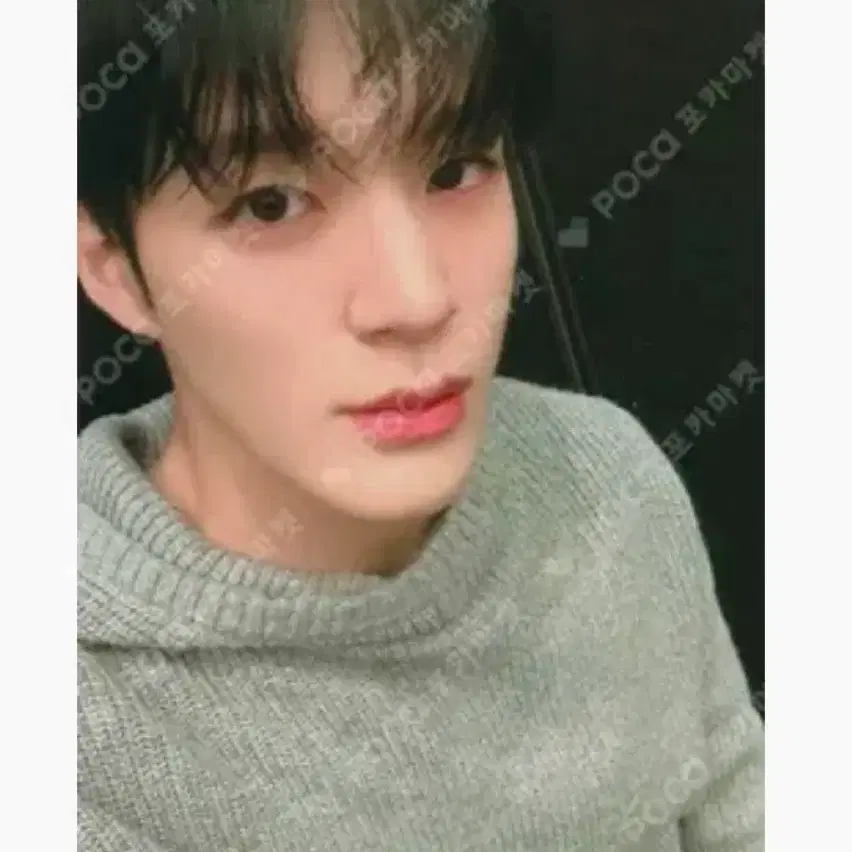 구해요) 엔시티드림 제노 beat it up kms 포카