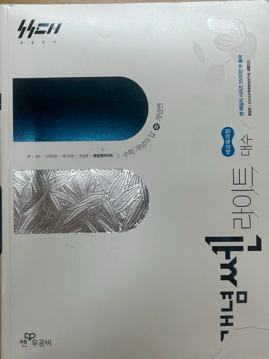 개념쎈 라이트 대수 수학 교재