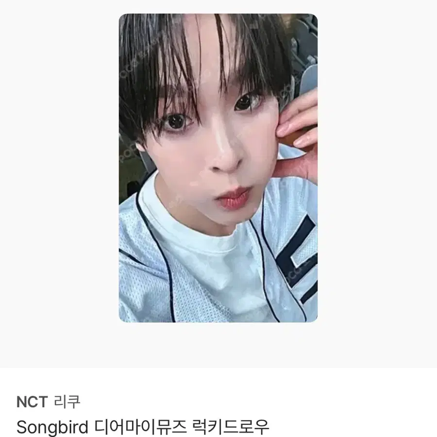 구해요) 엔시티위시 NCT WISH 송버드 디어마이뮤즈 디마뮤 럭드 리쿠포카 포토카드