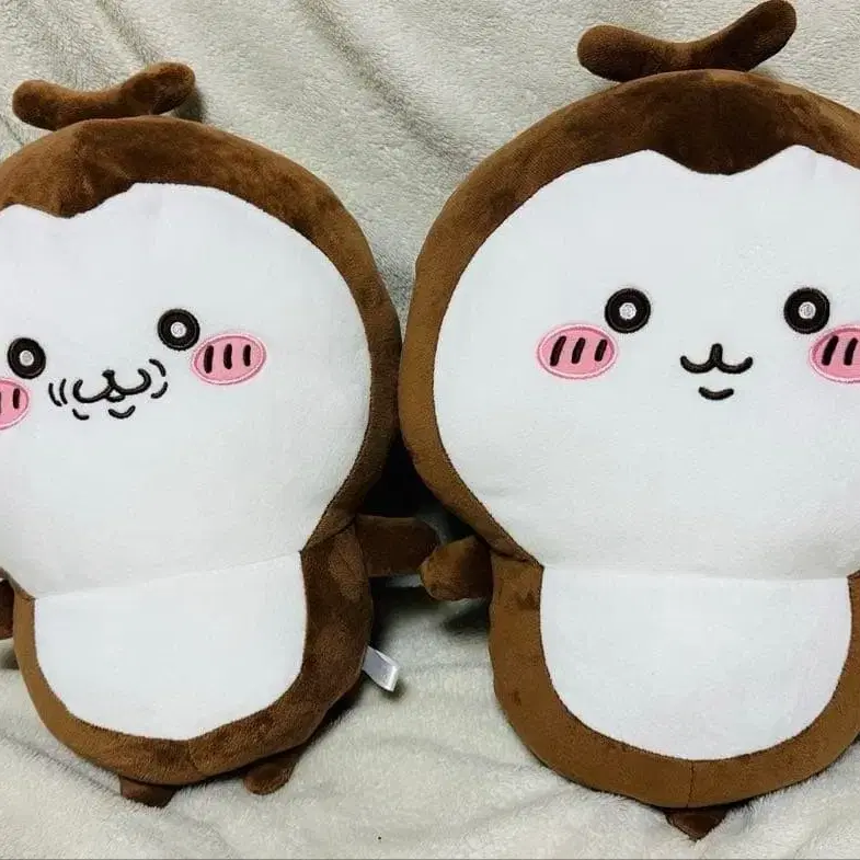 (택X) 치이카와 풍뎅이 Big 누이구루미 인형 2종