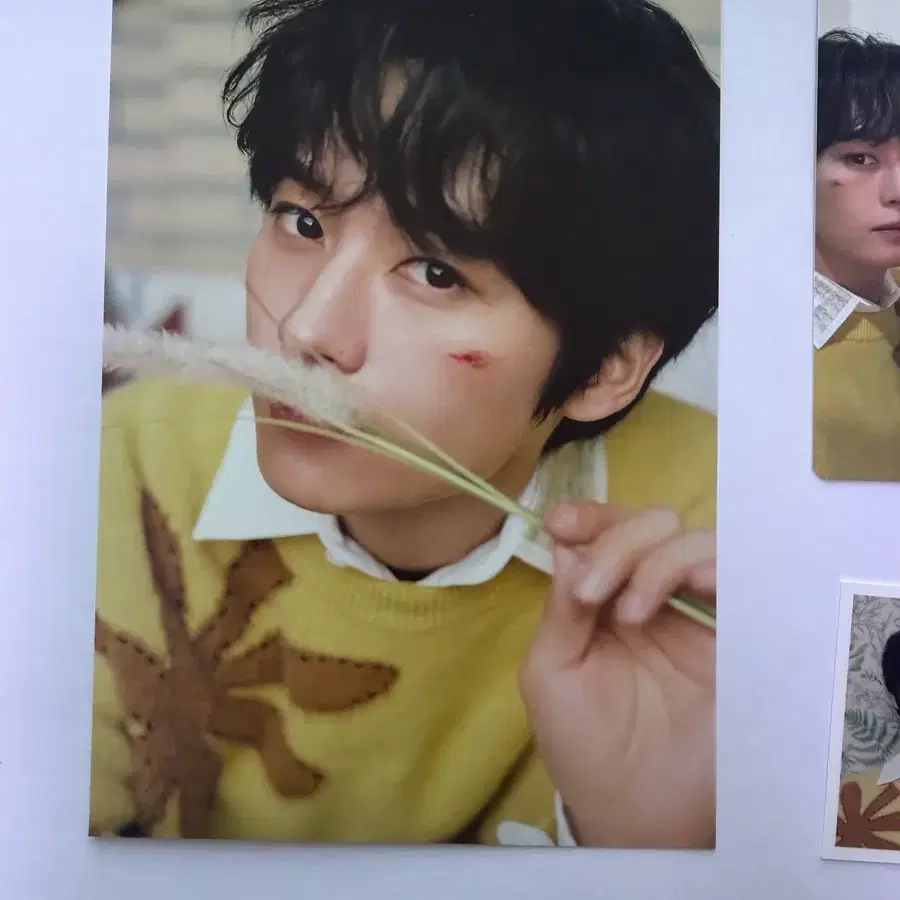 스키즈 리노 4기 키트 분철