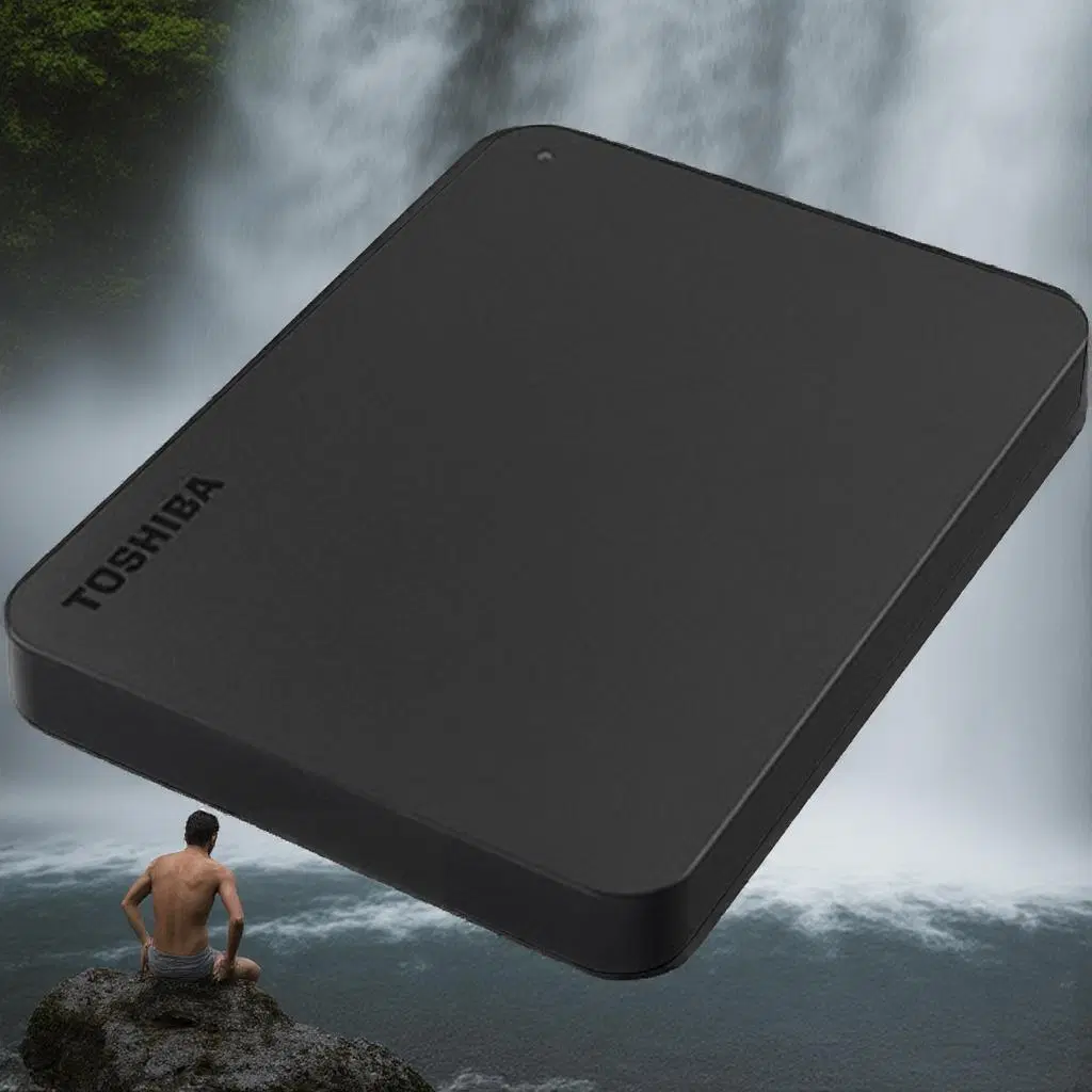 도시바 외장하드 CANVIO BASICS 3 1TB 블랙 1개