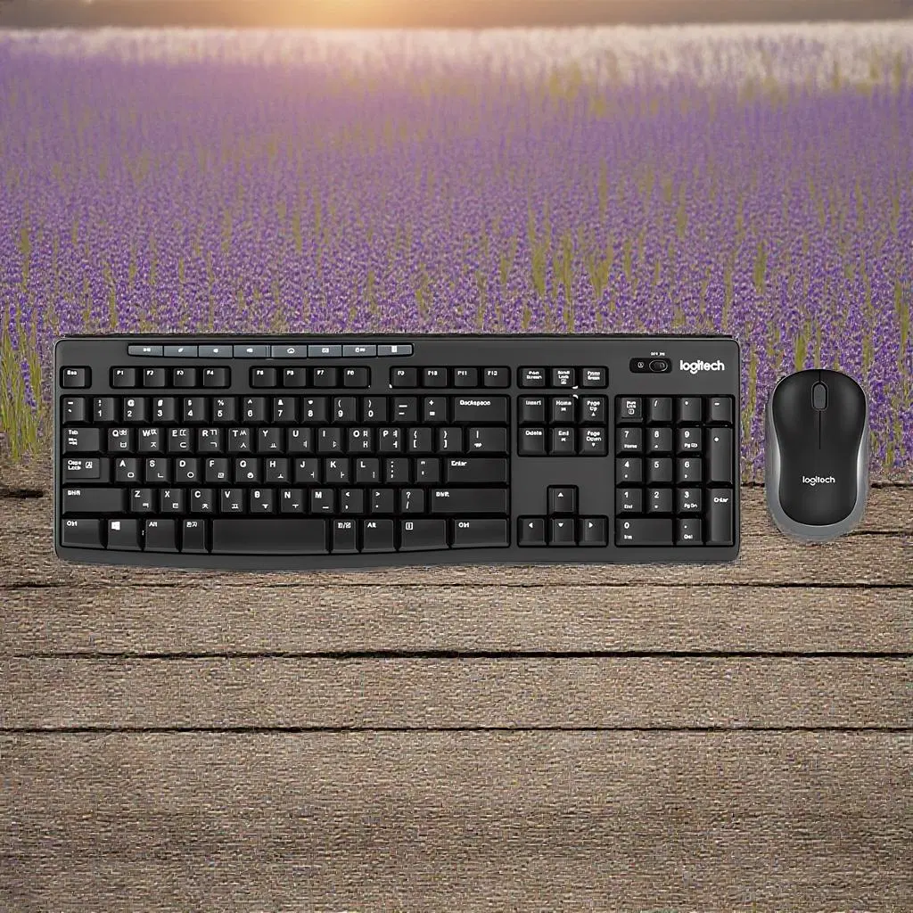 로지텍 키보드 + 마우스 세트 MK270R 일반형 1개