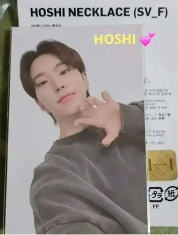 레어 SEVENTEEN 호시 HOSHI