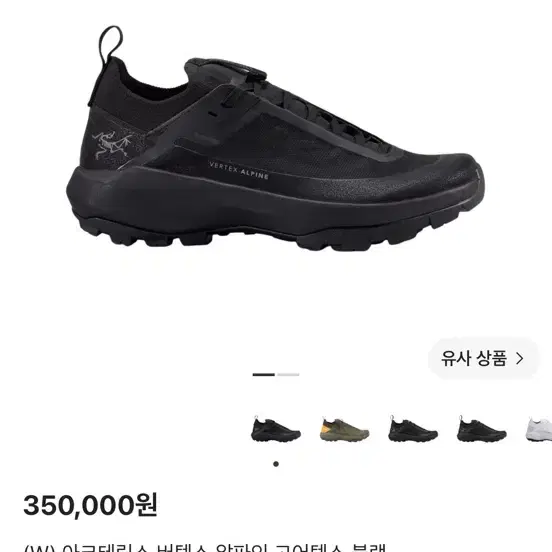 아크테릭스 버텍스 알파인 고어텍스 블랙